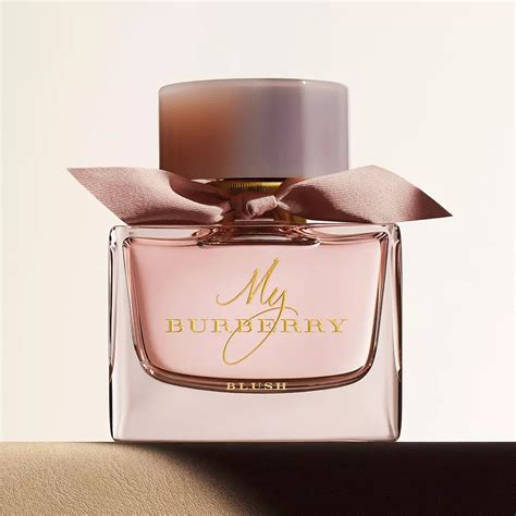 best burberry perfume reddit|best smelling women's Burberry perfume.